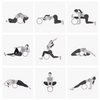 Yoga Wheel Roller